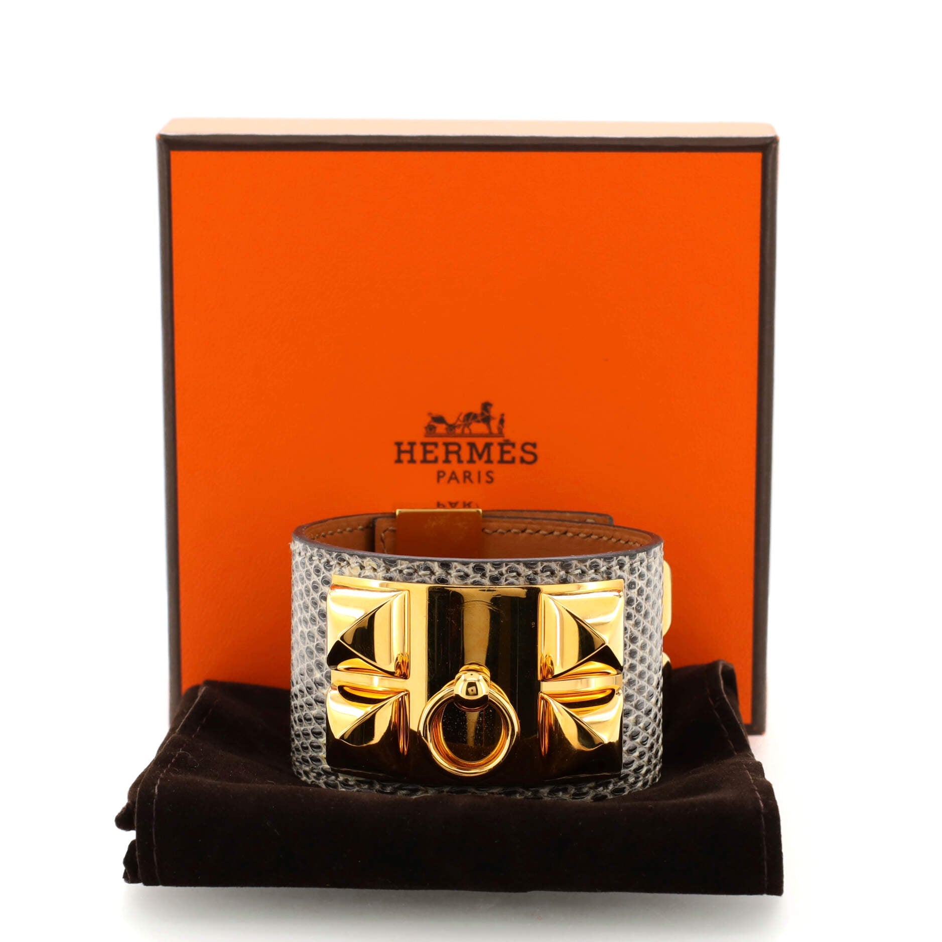 Collier de Chien Bracelet Lizard