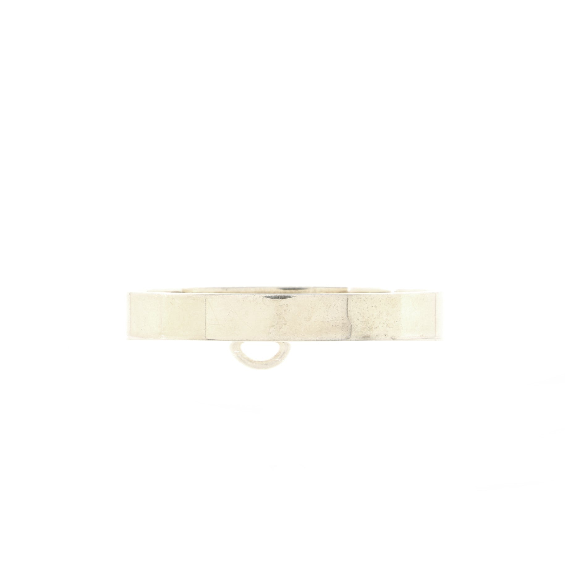 Collier de Chien Bracelet Sterling Silver PM