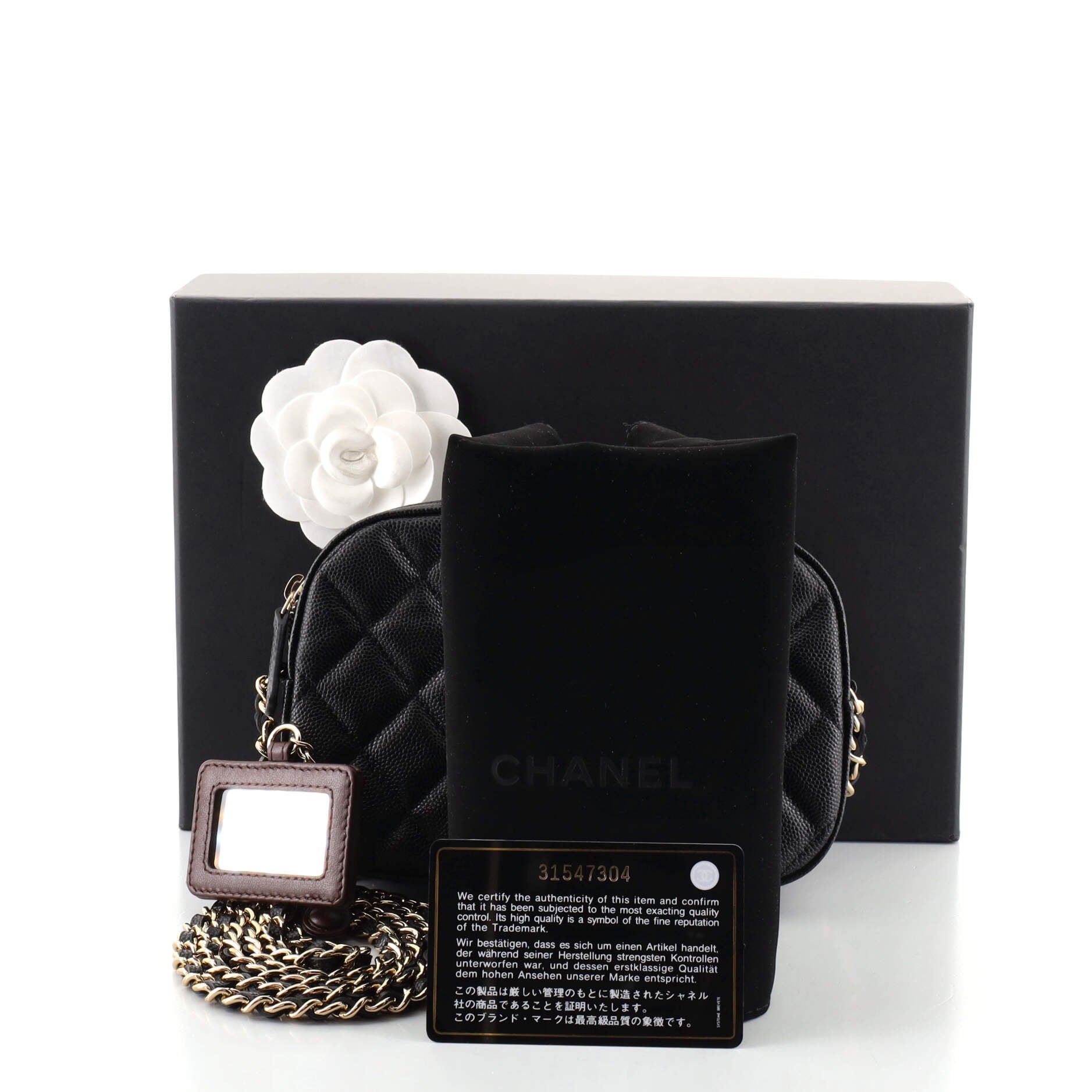 Zip Around Chain Camera Case Quilted Caviar Mini