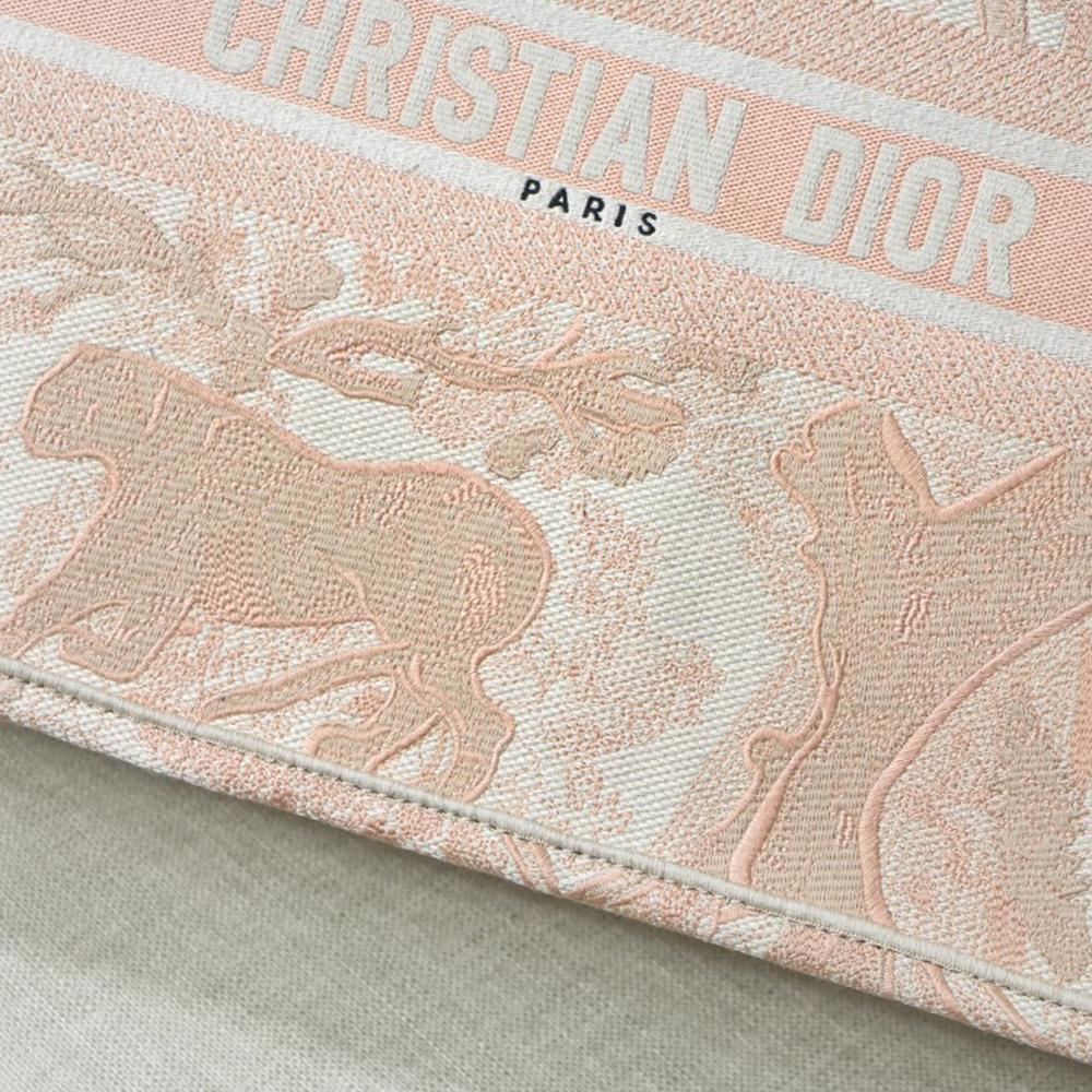 DIOR BOOK TOTE