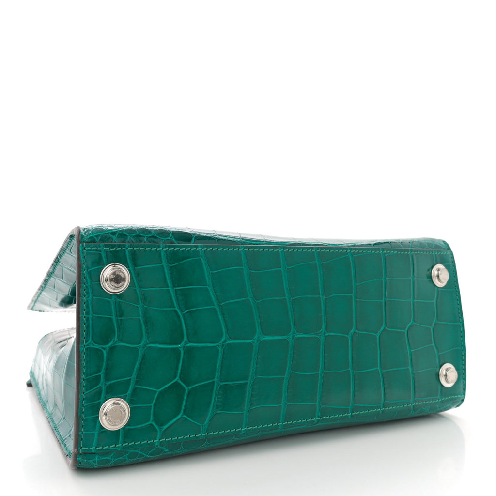 Alligator City Steamer PM Emeraude