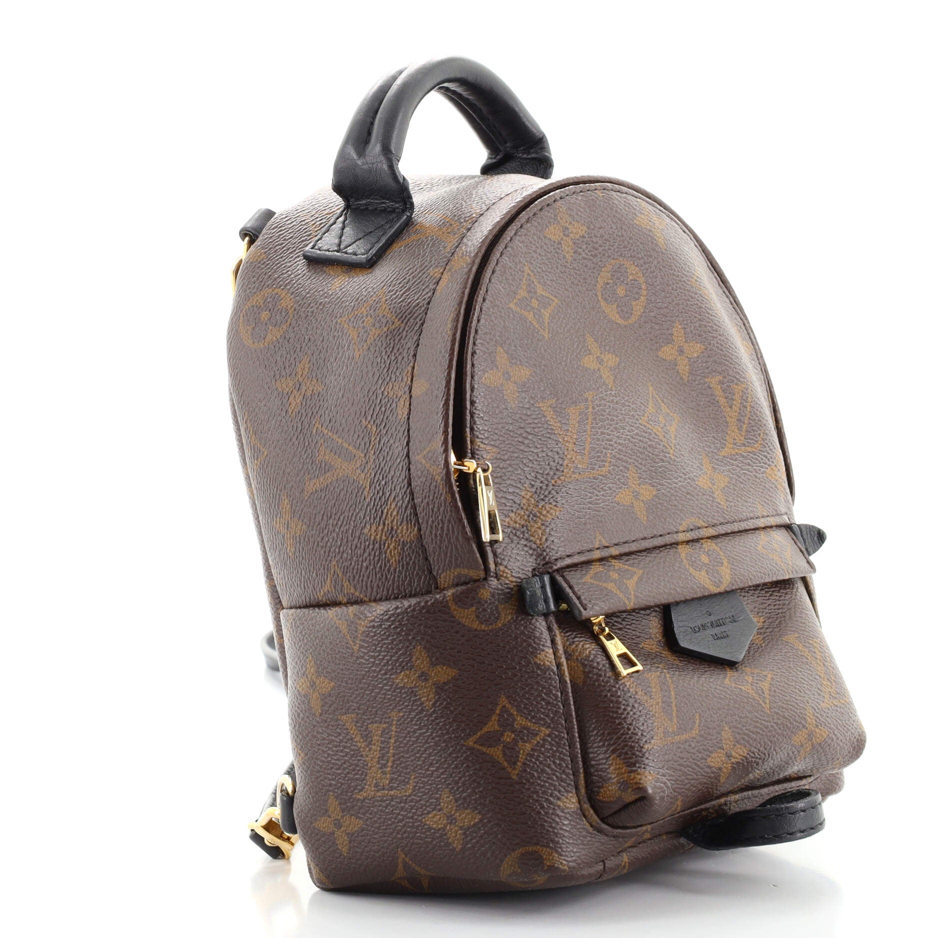 Palm Springs Backpack Monogram Canvas Mini
