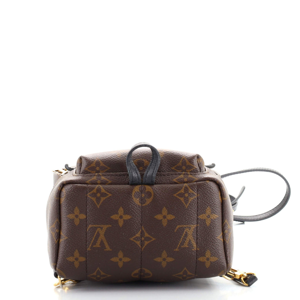 Palm Springs Backpack Monogram Canvas Mini