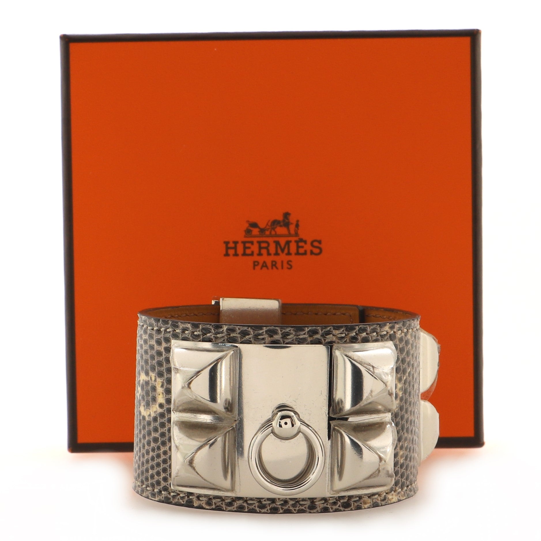 Collier de Chien Bracelet Lizard
