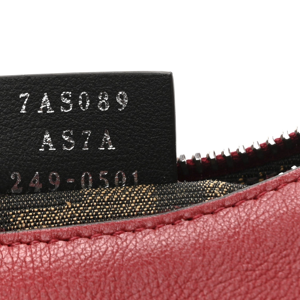 Vitello Grace New Matte Nano Fendigraphy Hobo Charm Scarlet