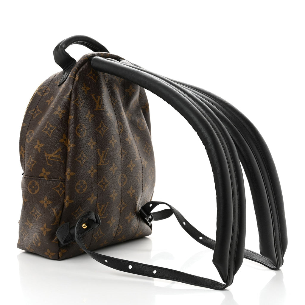 Reverse Monogram Palm Springs Backpack PM