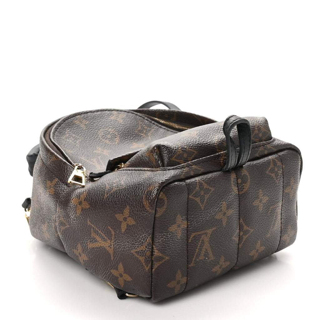 Monogram Palm Springs Backpack Mini