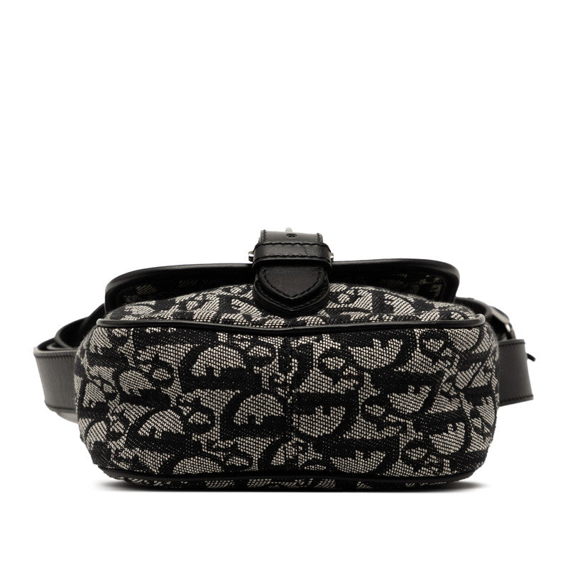 Dior Trotter Canvas Leather Shoulder Bag
