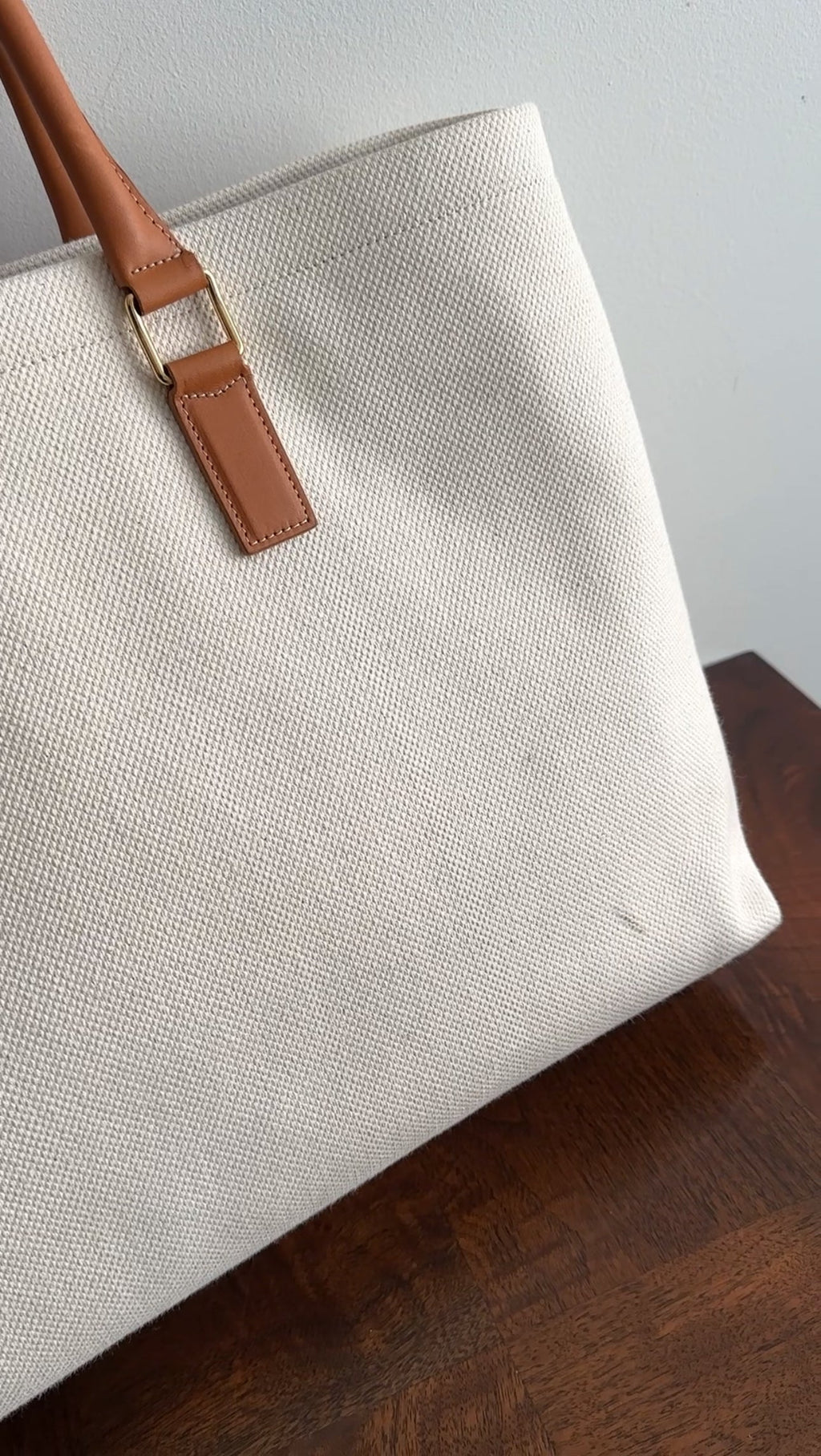 Celine 2019 Natural Toile and Tan Leather Large Travel Tote Bag