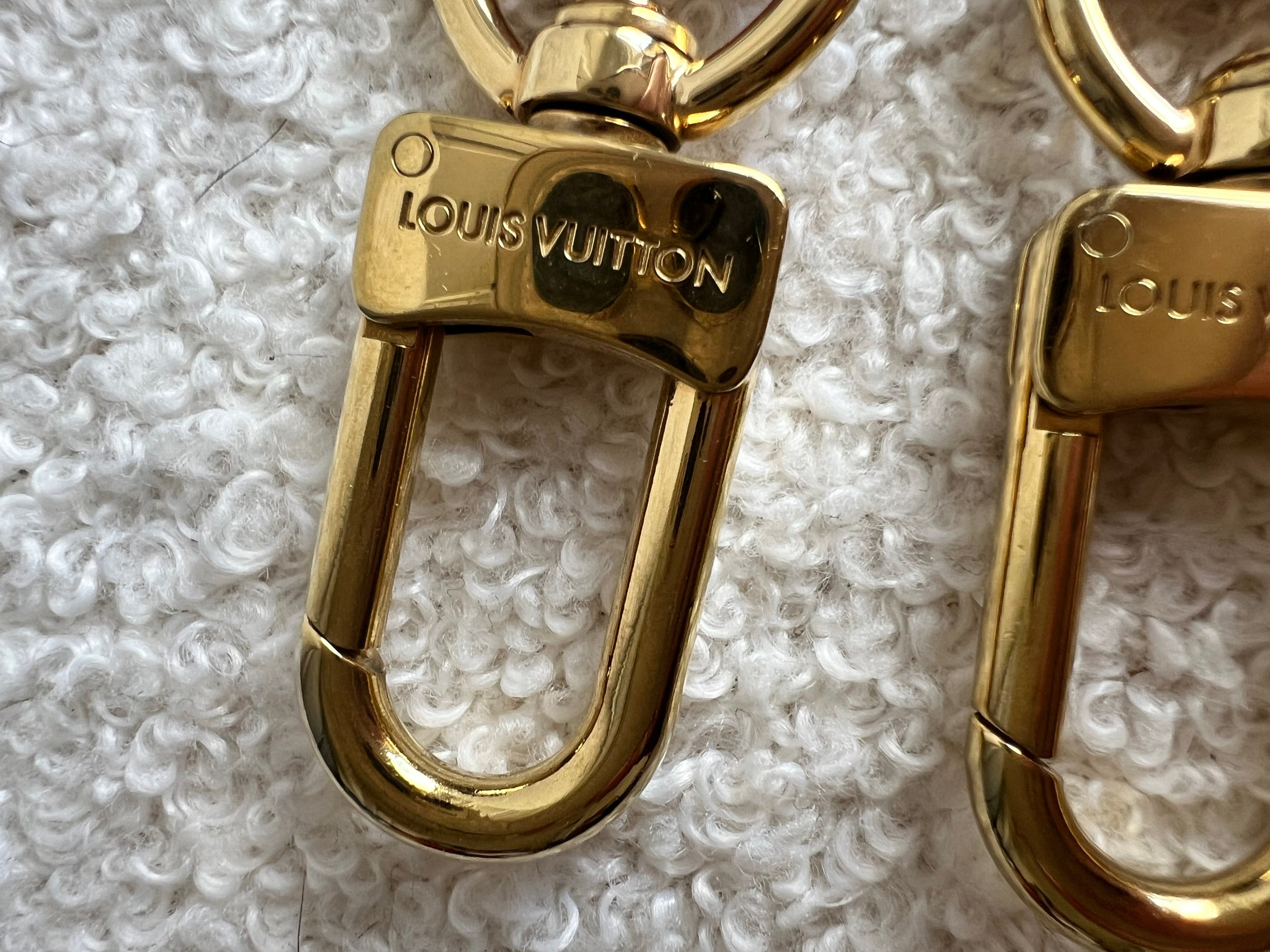 Louis Vuitton Canvas Bandouliere Strap