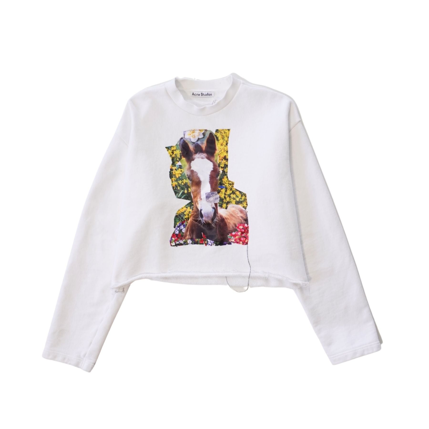 Acne Studios 'Pony' Sweatshirt - Women's L