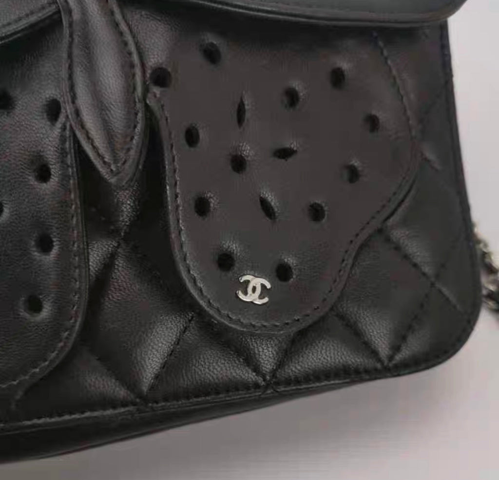 Chanel Butterfly Bag Limited Edition