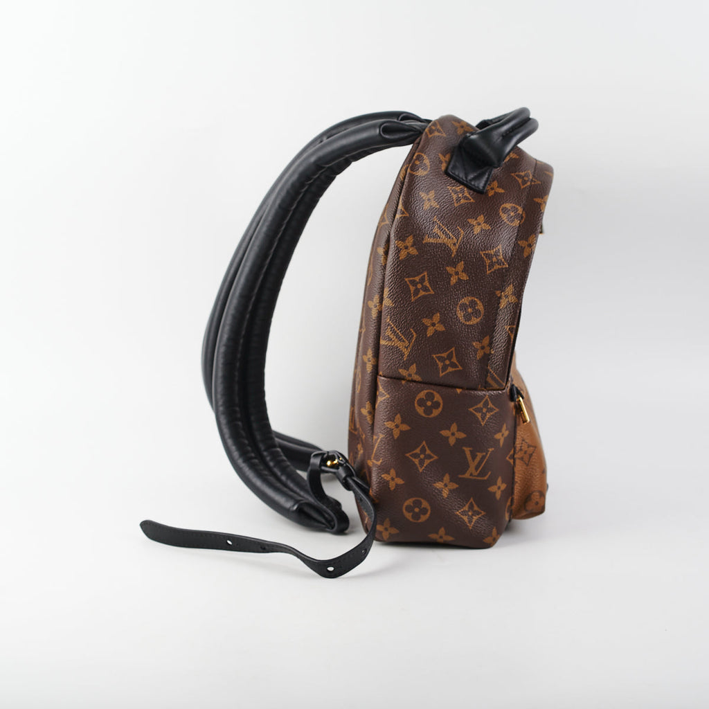 Louis Vuitton Palm Springs Reverse PM Backpack