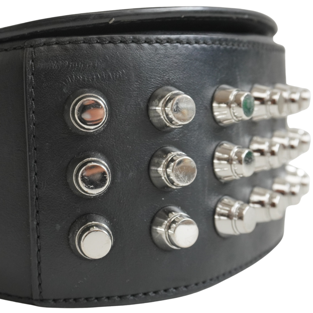 Alexander Wang 'Lia' Bag