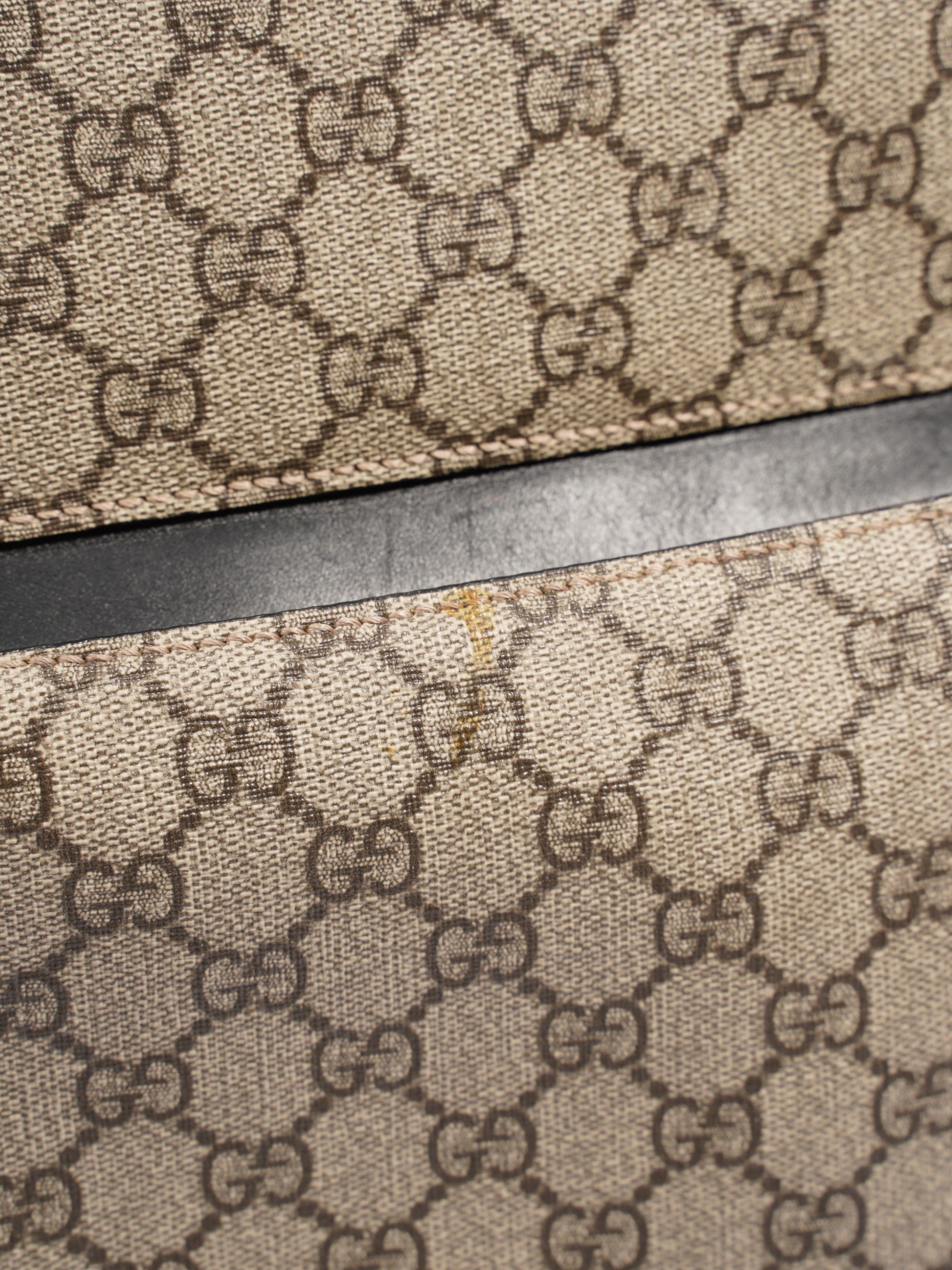 Gucci Eden GG Supreme Coated Canvas Medium
