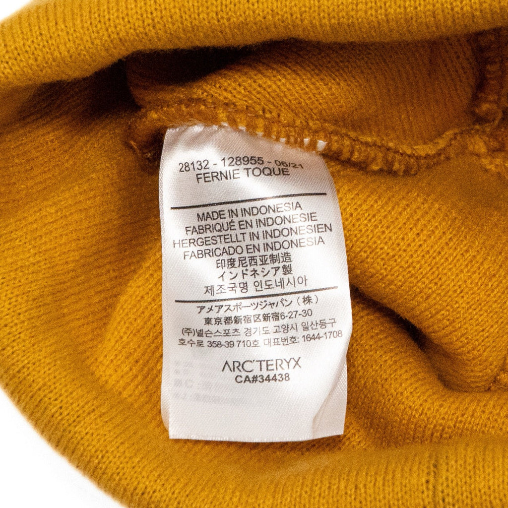 Arc'teryx 'Bird Head' Toque