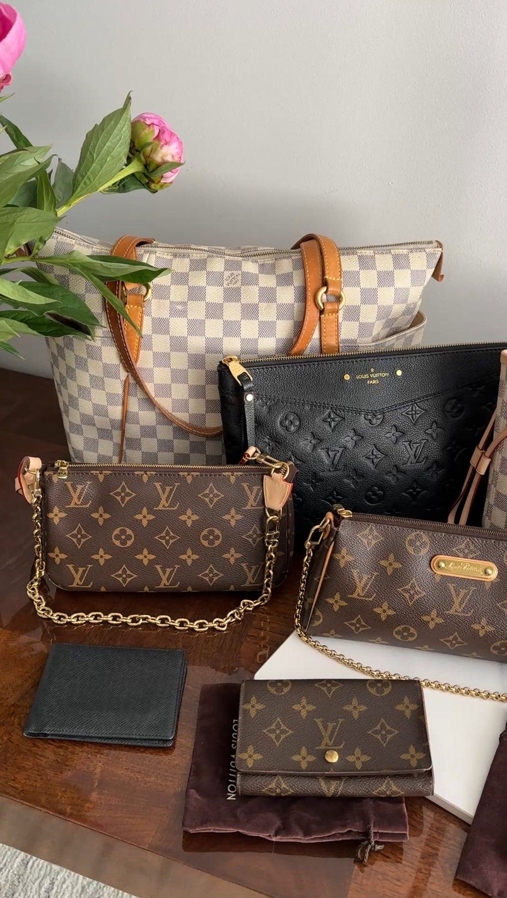 Louis Vuitton Monogram Canvas Pochette Accessoires Bag