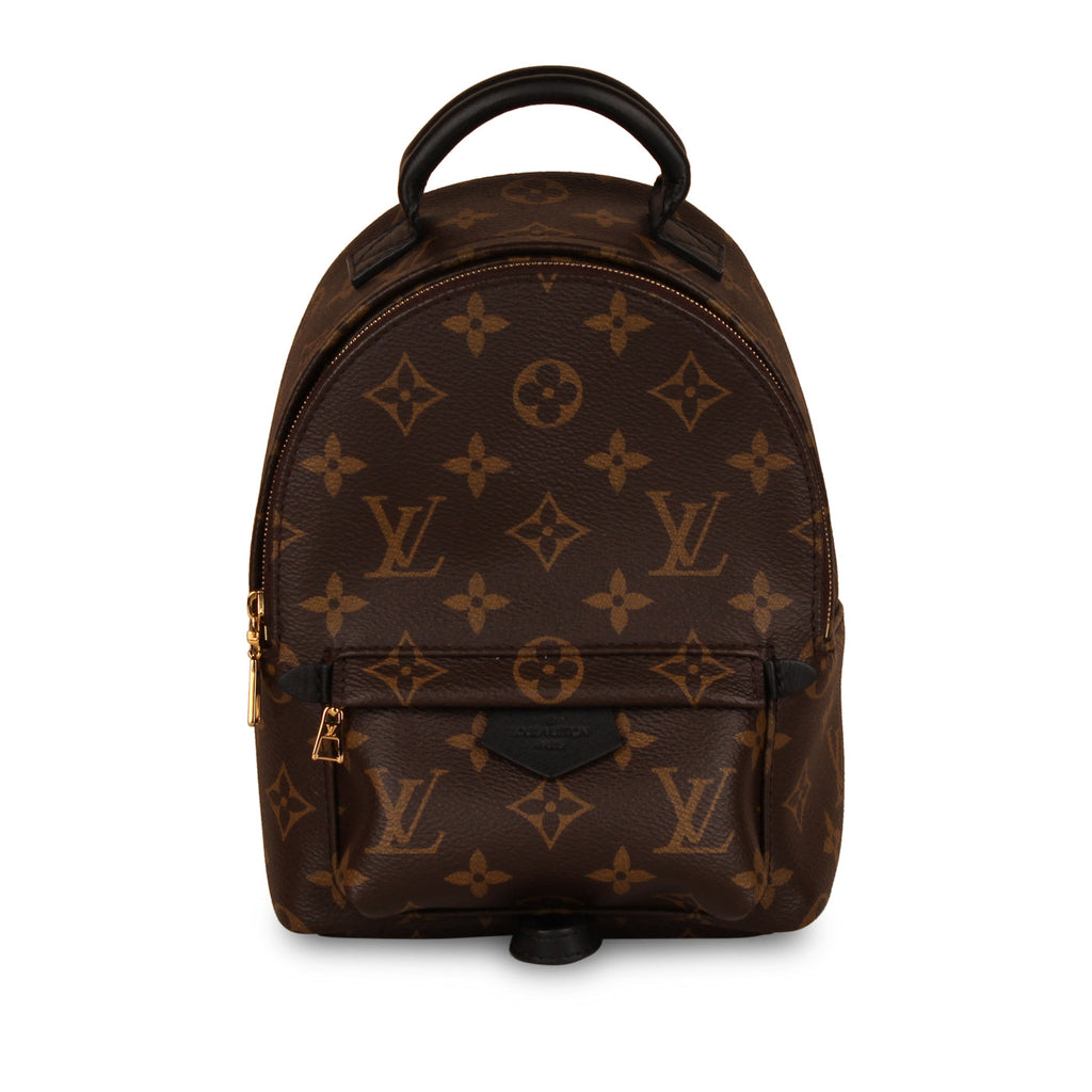 Louis Vuitton Palm Springs Backpack - Mini