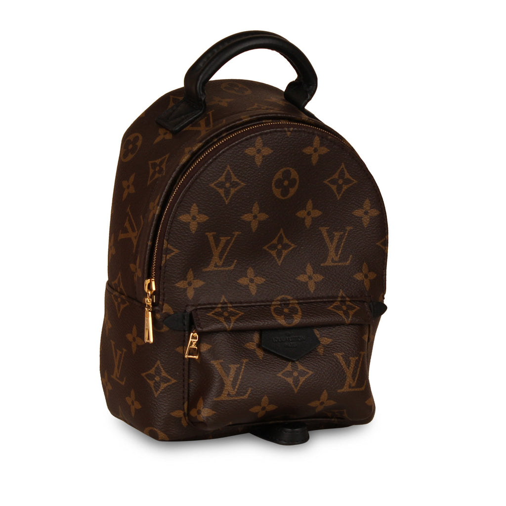 Louis Vuitton Palm Springs Backpack - Mini