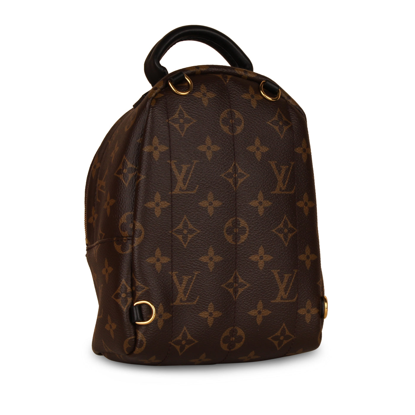 Louis Vuitton Palm Springs Backpack - Mini