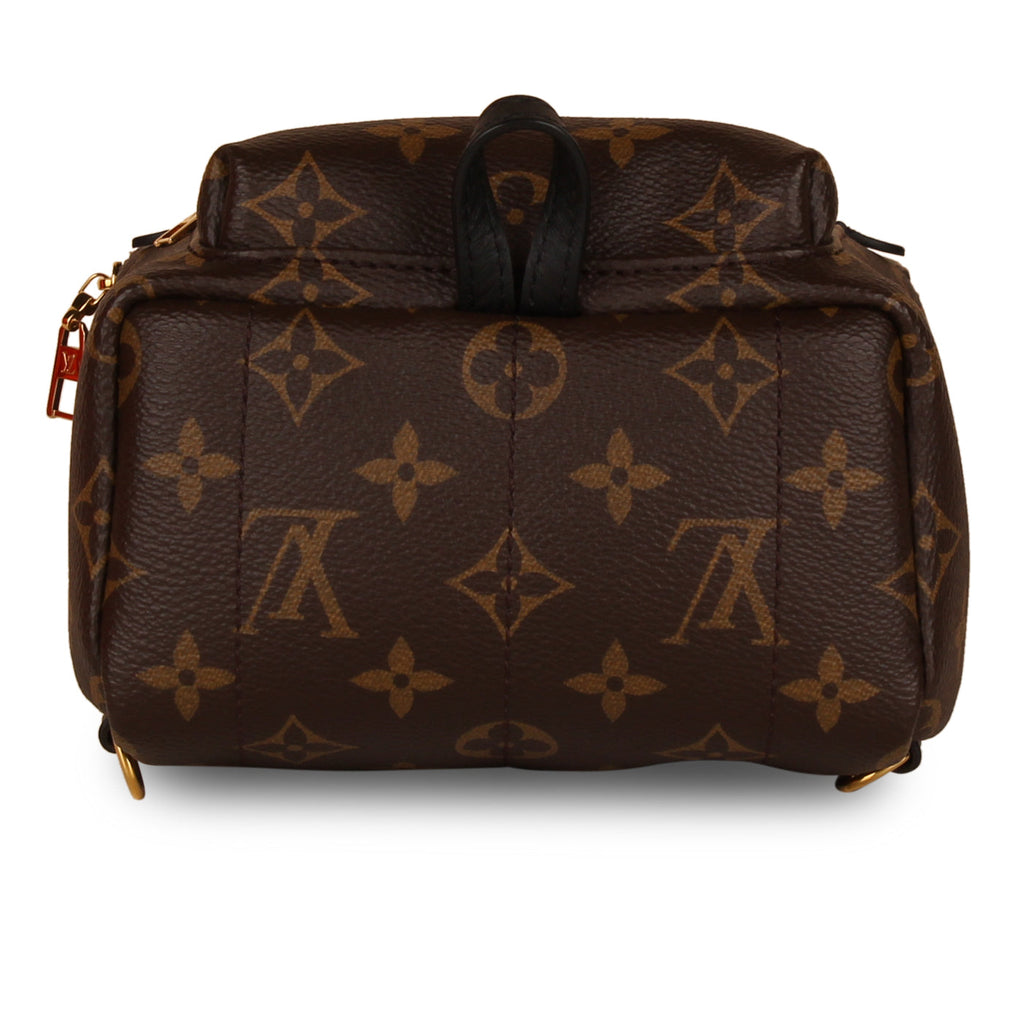 Louis Vuitton Palm Springs Backpack - Mini