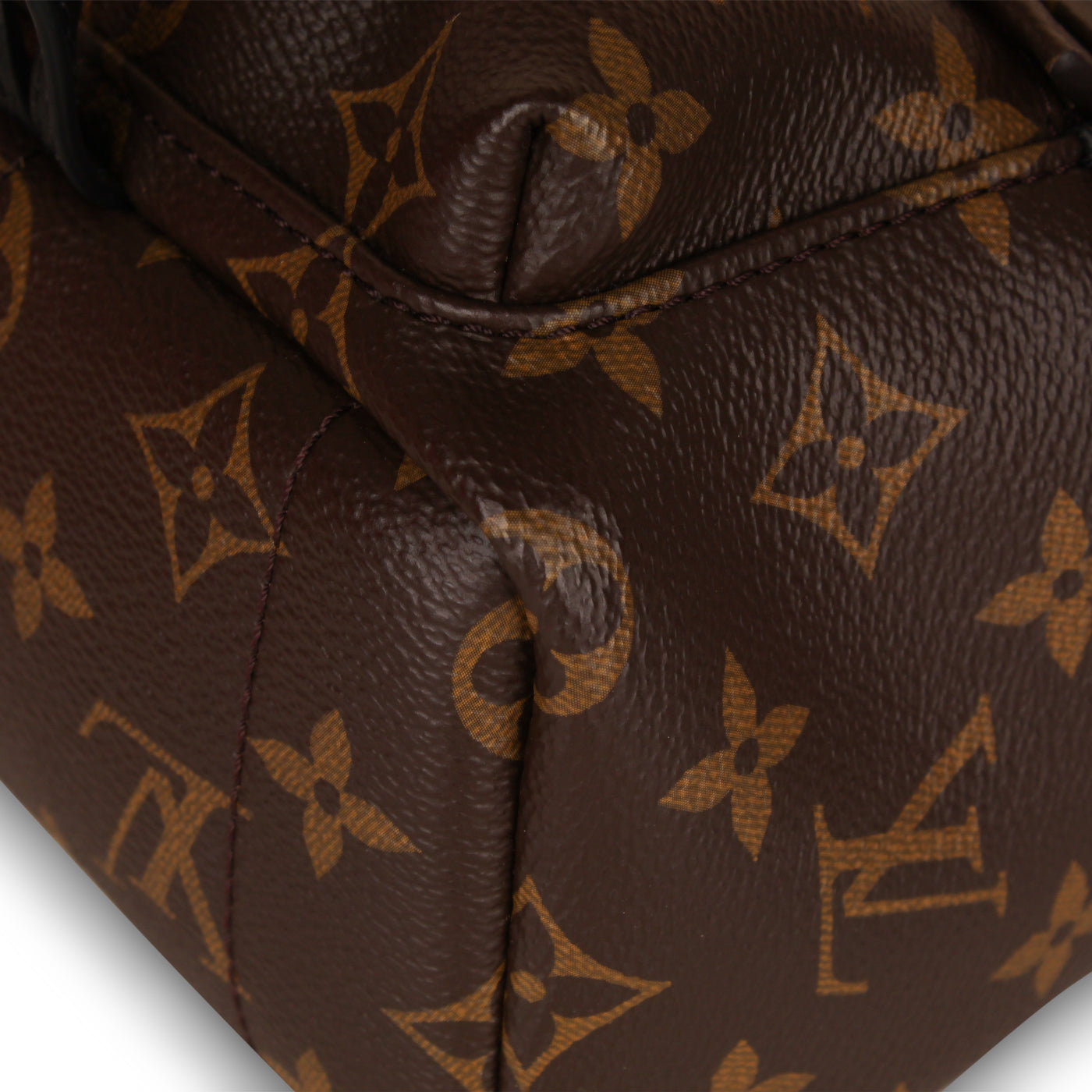 Louis Vuitton Palm Springs Backpack - Mini