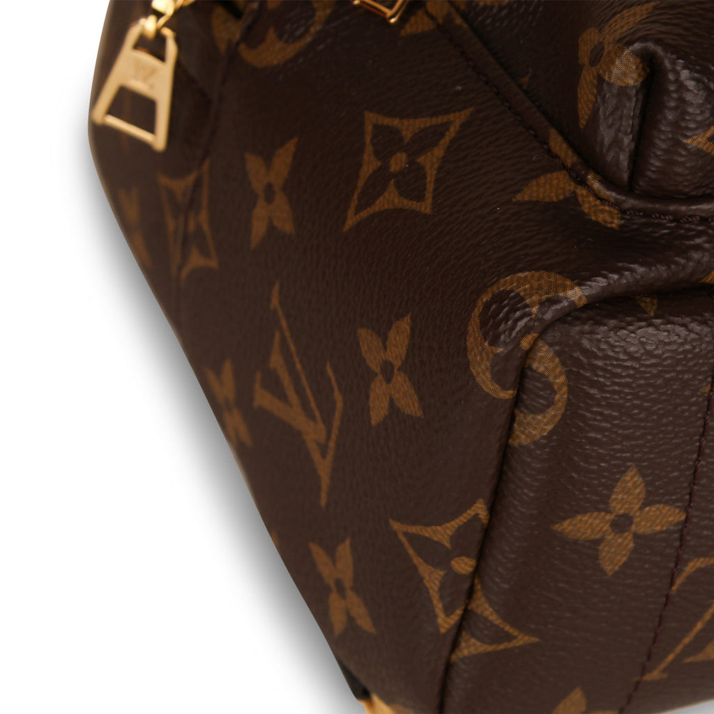 Louis Vuitton Palm Springs Backpack - Mini