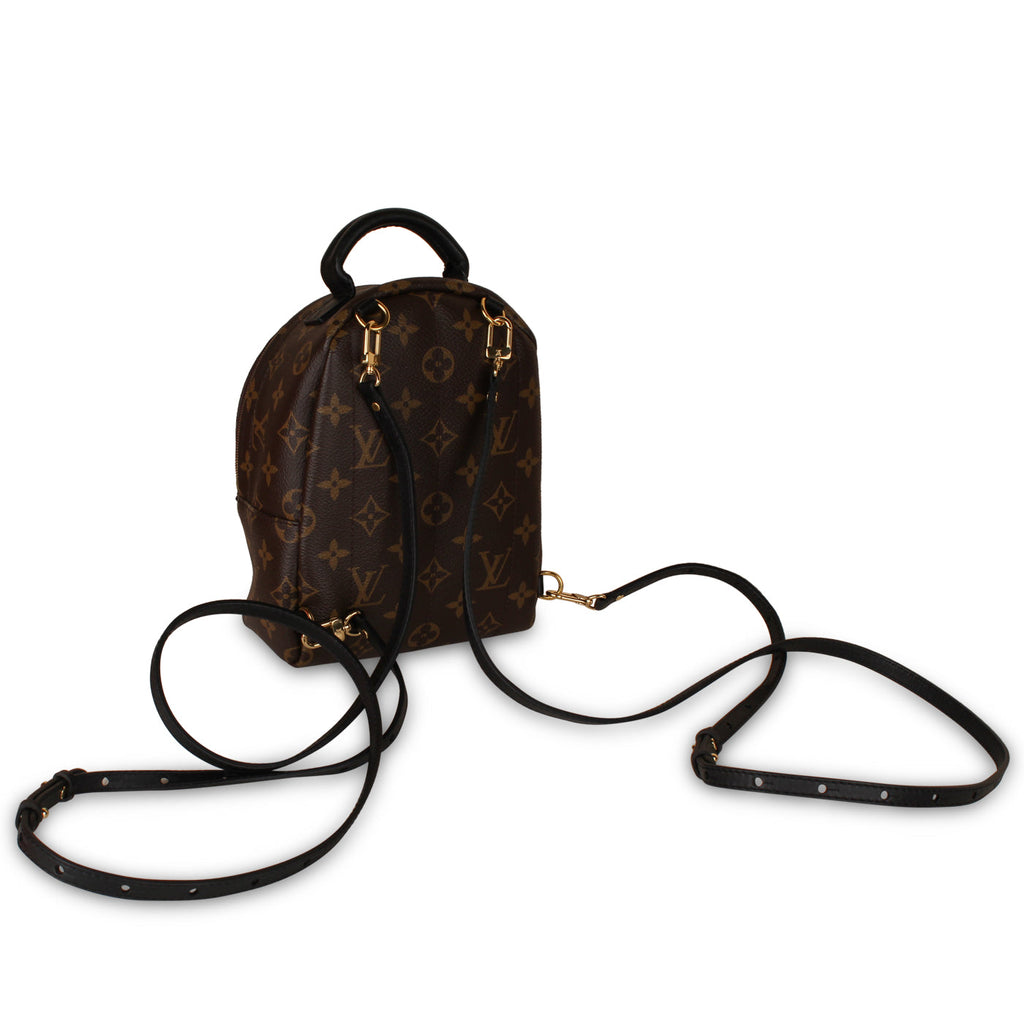 Louis Vuitton Palm Springs Backpack - Mini