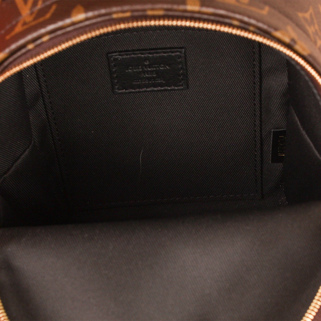 Louis Vuitton Palm Springs Backpack - Mini