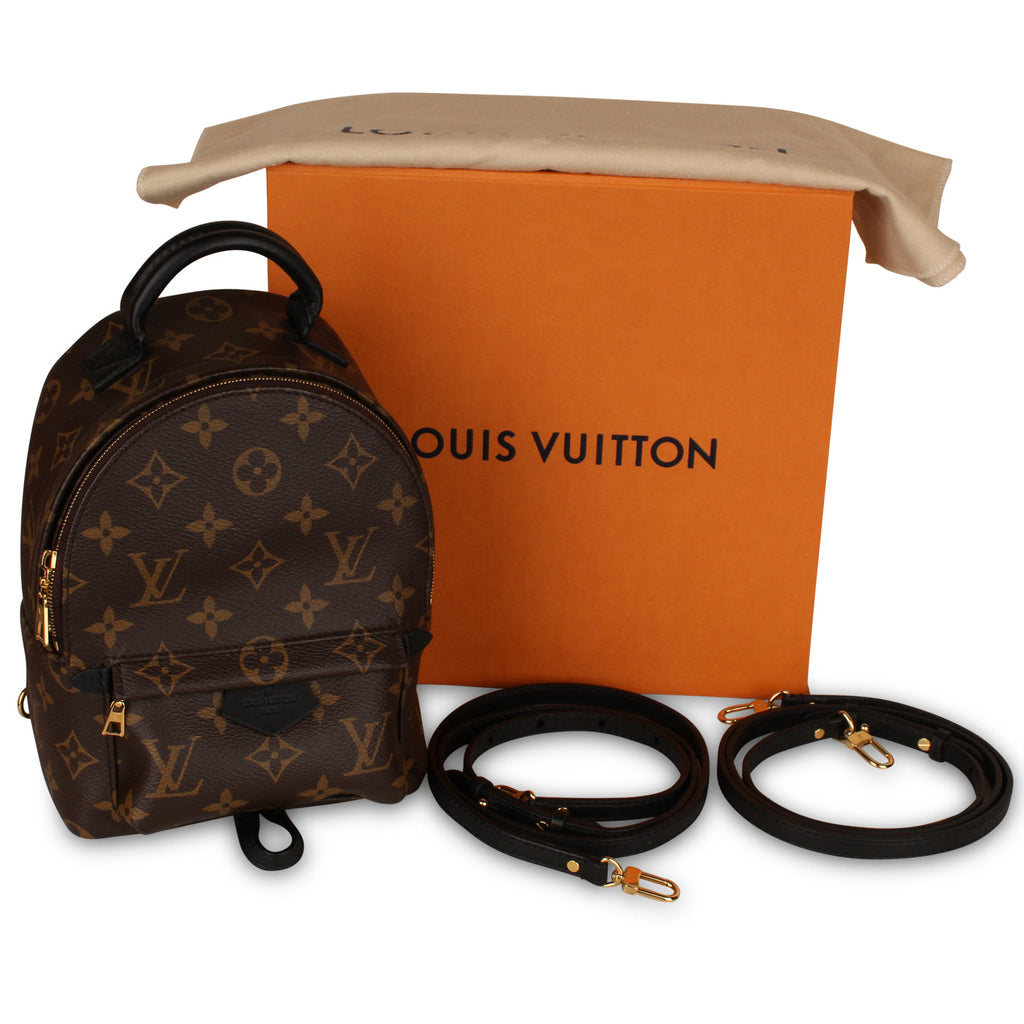 Louis Vuitton Palm Springs Backpack - Mini