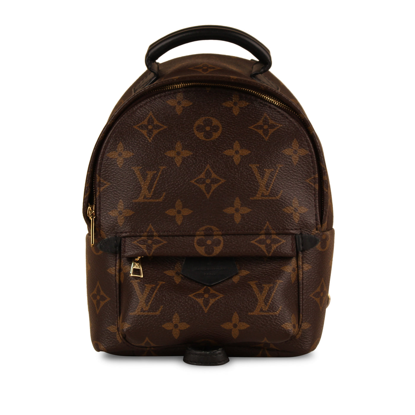 Louis Vuitton Palm Springs Backpack - Mini