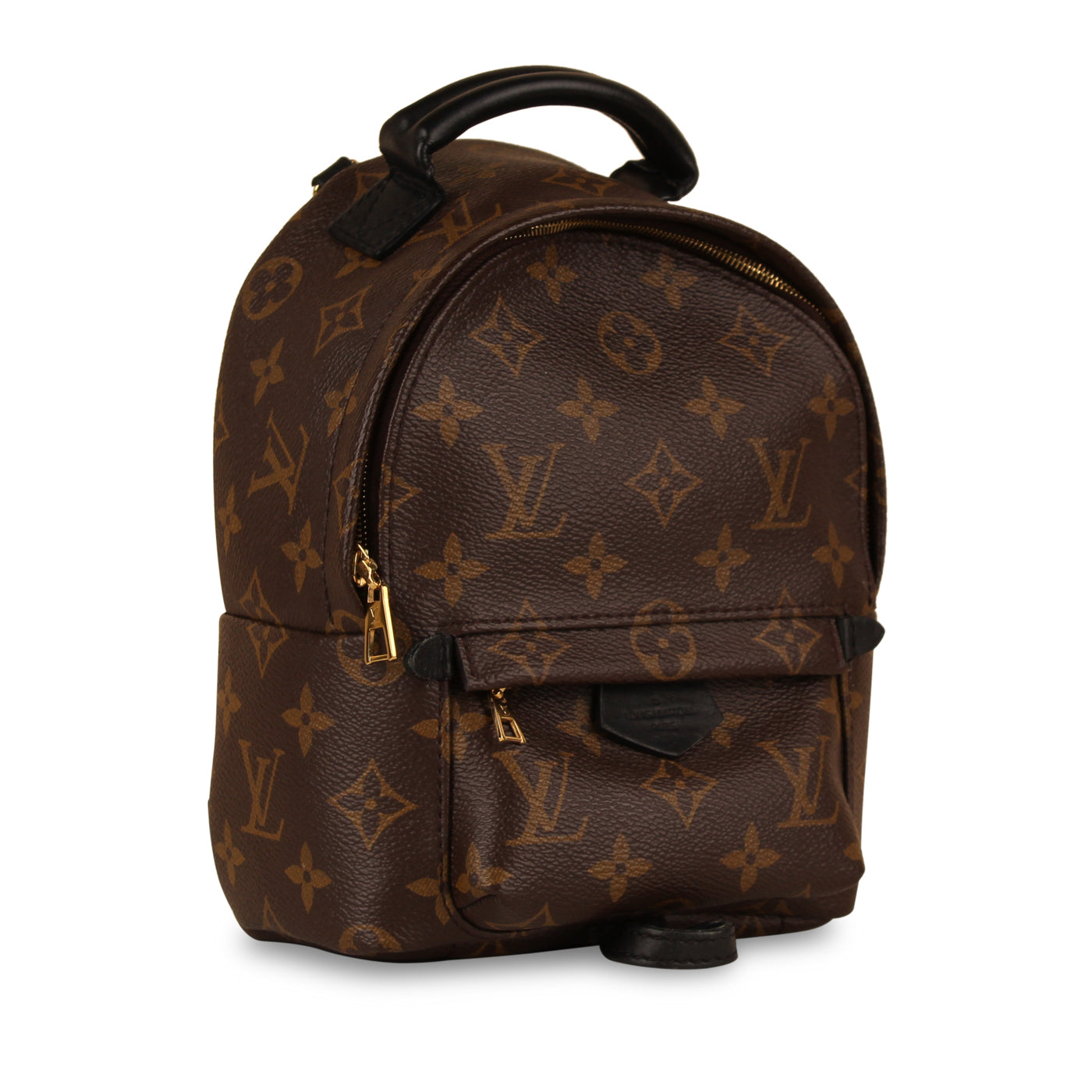 Louis Vuitton Palm Springs Backpack - Mini