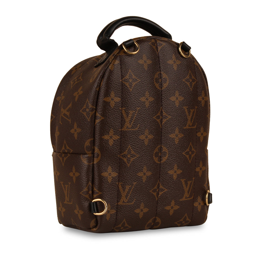 Louis Vuitton Palm Springs Backpack - Mini