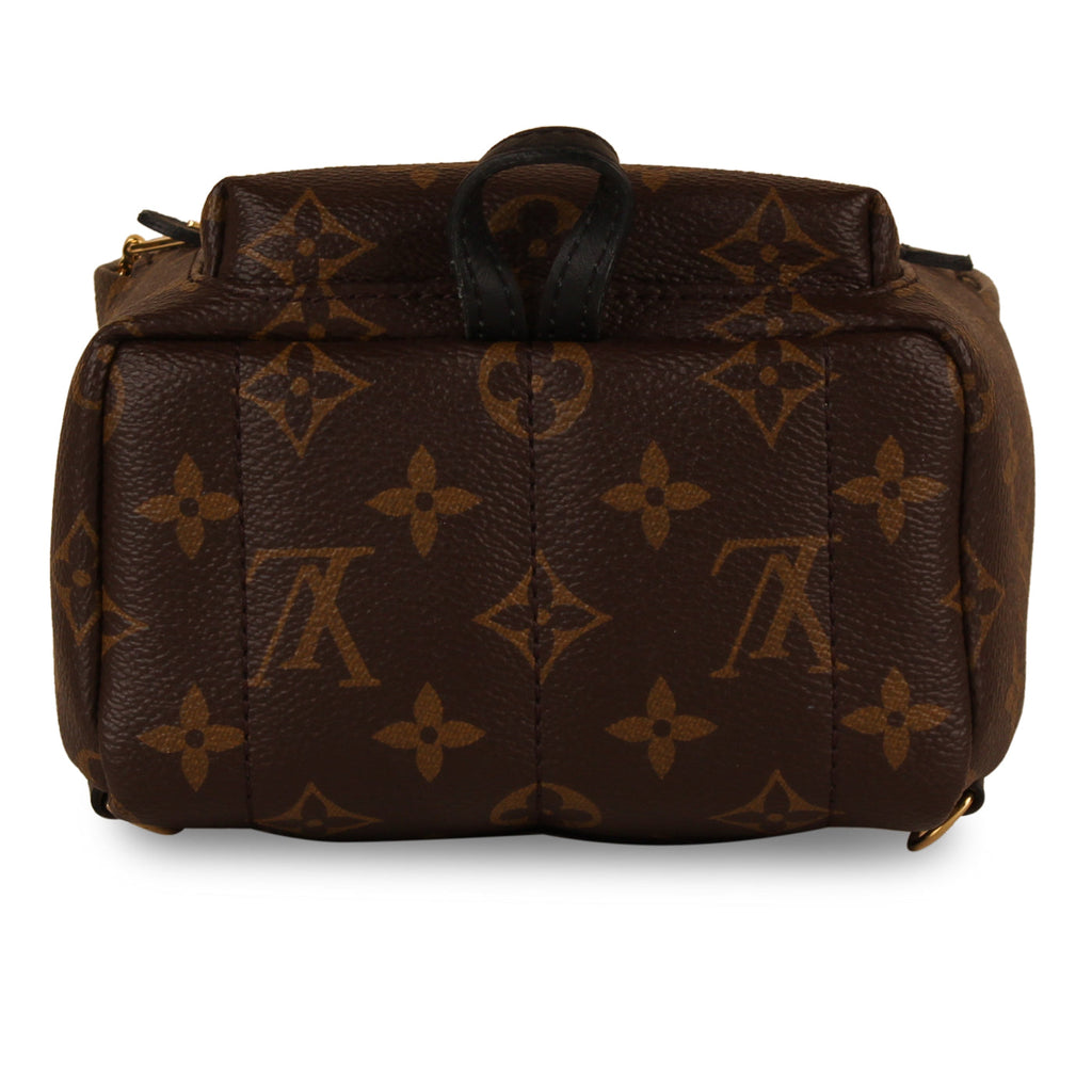 Louis Vuitton Palm Springs Backpack - Mini