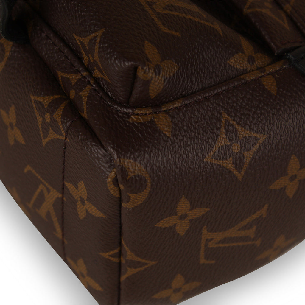 Louis Vuitton Palm Springs Backpack - Mini