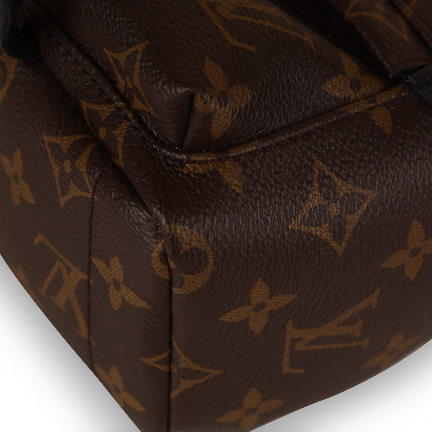 Louis Vuitton Palm Springs Backpack - Mini