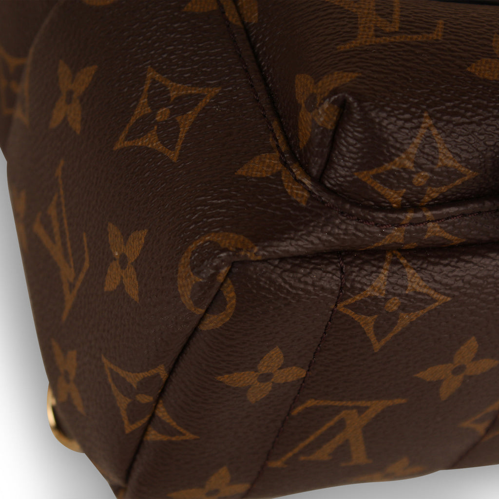 Louis Vuitton Palm Springs Backpack - Mini