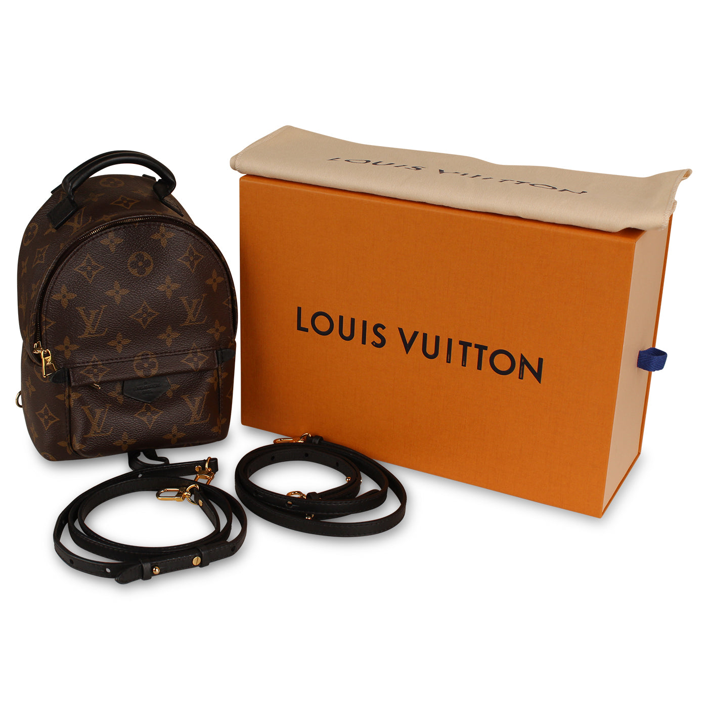 Louis Vuitton Palm Springs Backpack - Mini