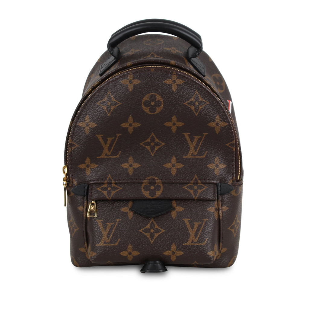 Louis Vuitton Palm Springs Backpack - Mini