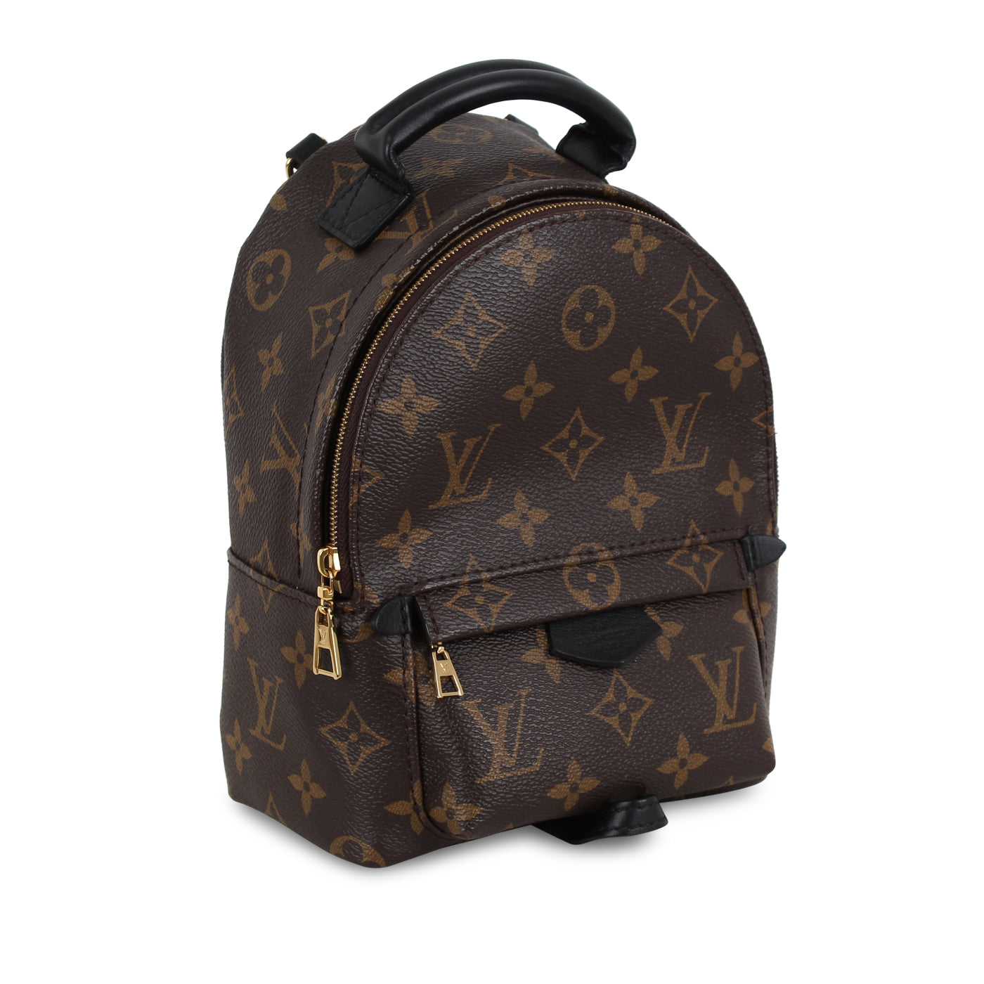 Louis Vuitton Palm Springs Backpack - Mini