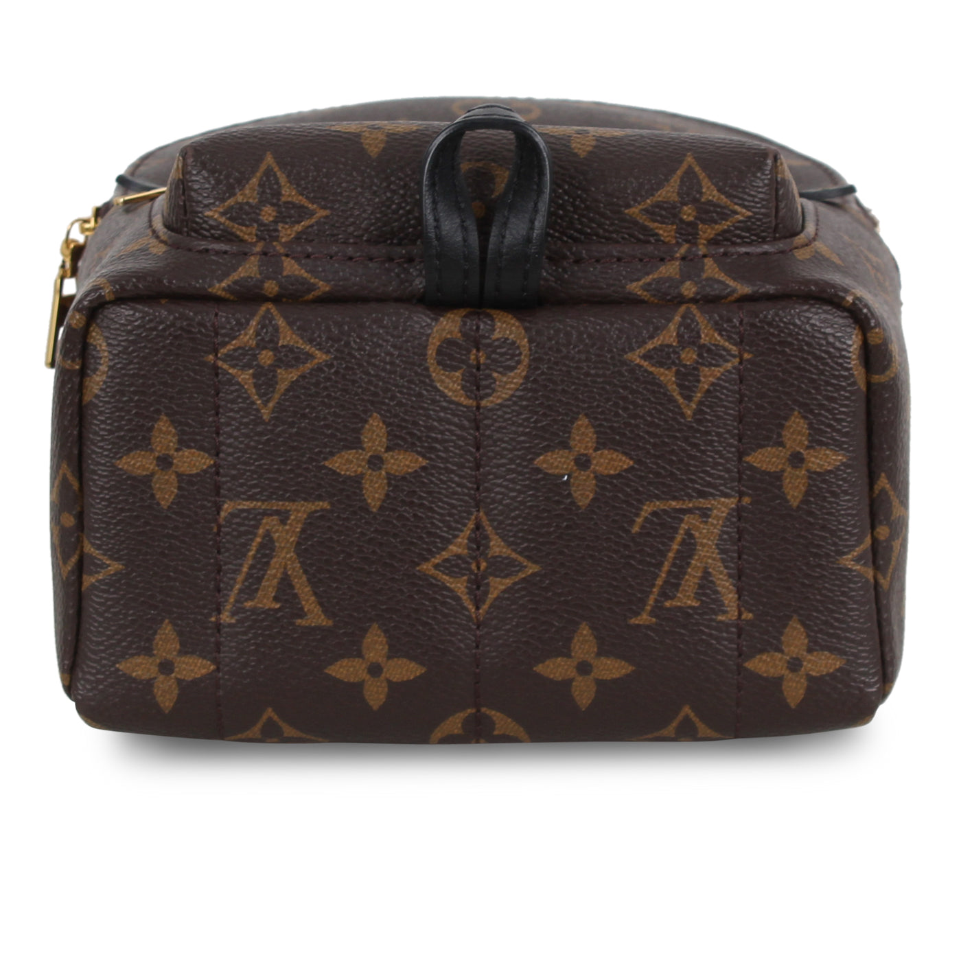 Louis Vuitton Palm Springs Backpack - Mini