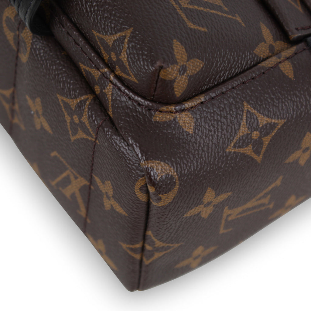 Louis Vuitton Palm Springs Backpack - Mini