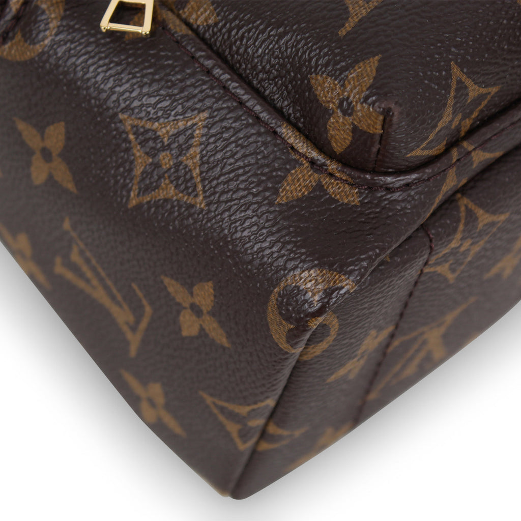Louis Vuitton Palm Springs Backpack - Mini