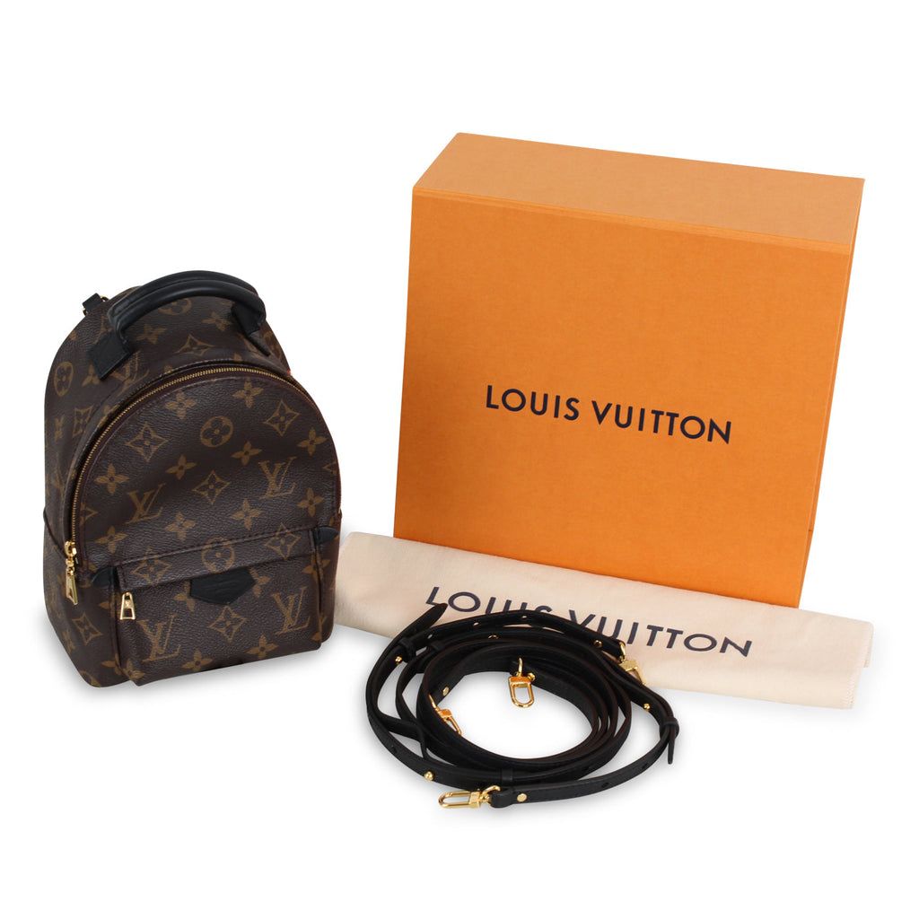 Louis Vuitton Palm Springs Backpack - Mini