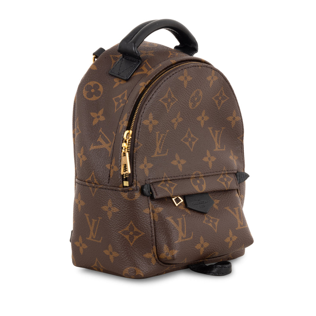Louis Vuitton Palm Springs Backpack - Mini