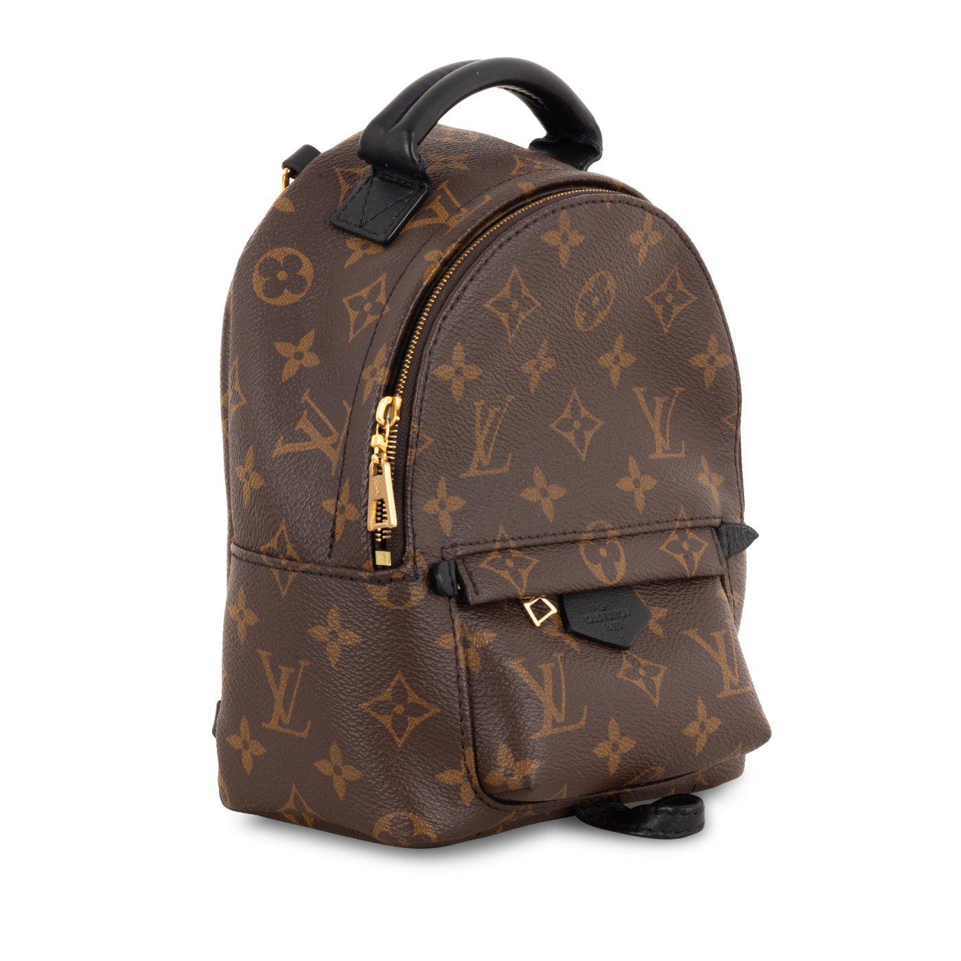 Louis Vuitton Palm Springs Backpack - Mini