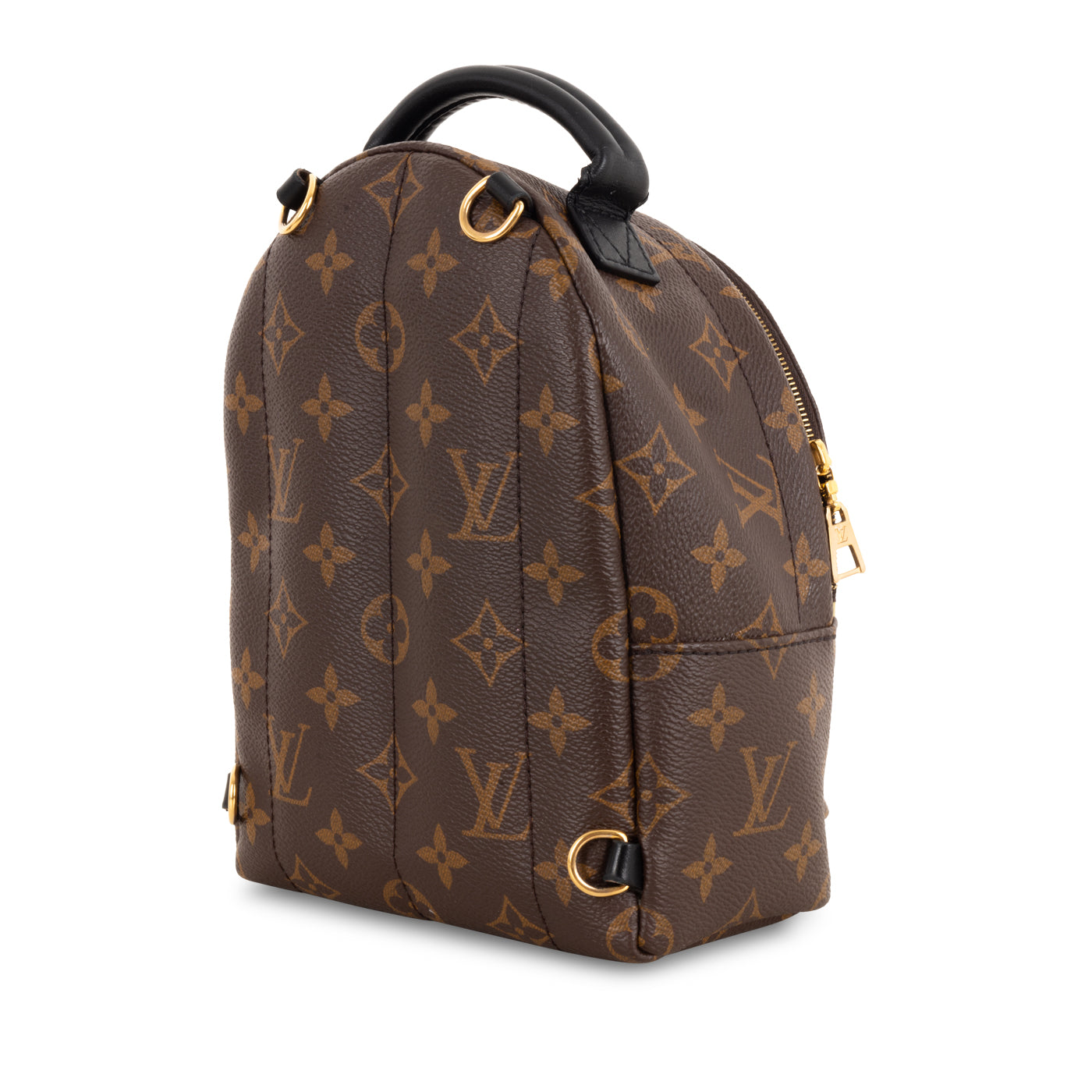 Louis Vuitton Palm Springs Backpack - Mini