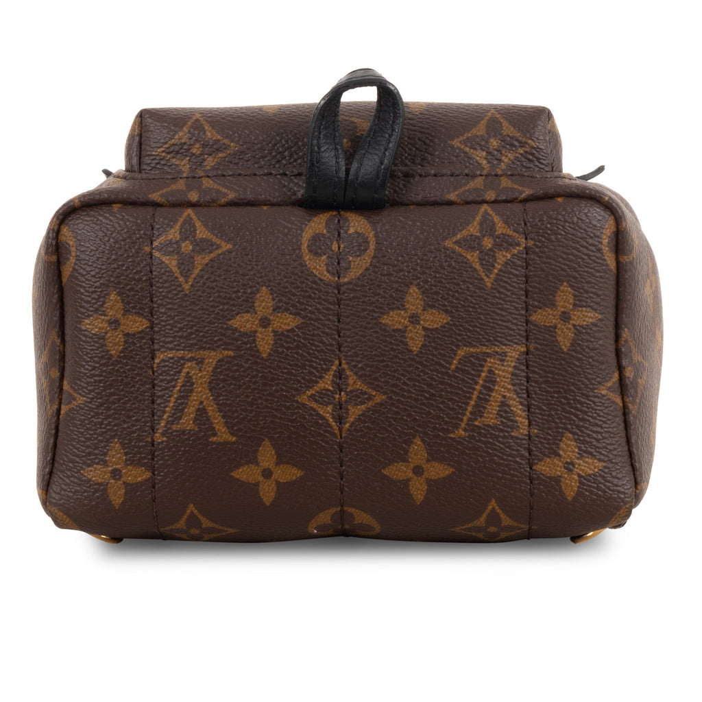 Louis Vuitton Palm Springs Backpack - Mini