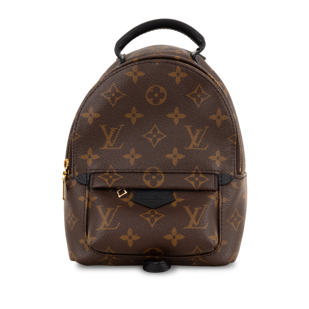 Louis Vuitton Palm Springs Backpack - Mini