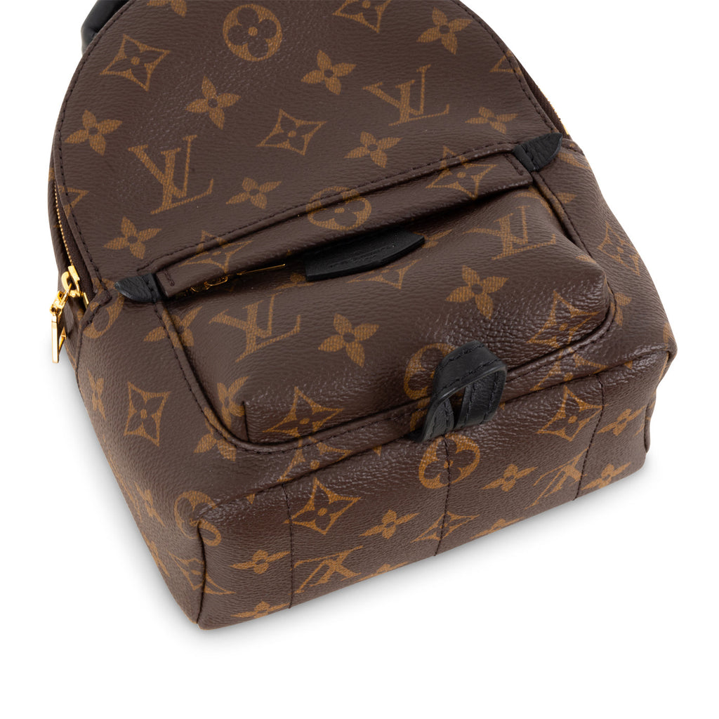 Louis Vuitton Palm Springs Backpack - Mini